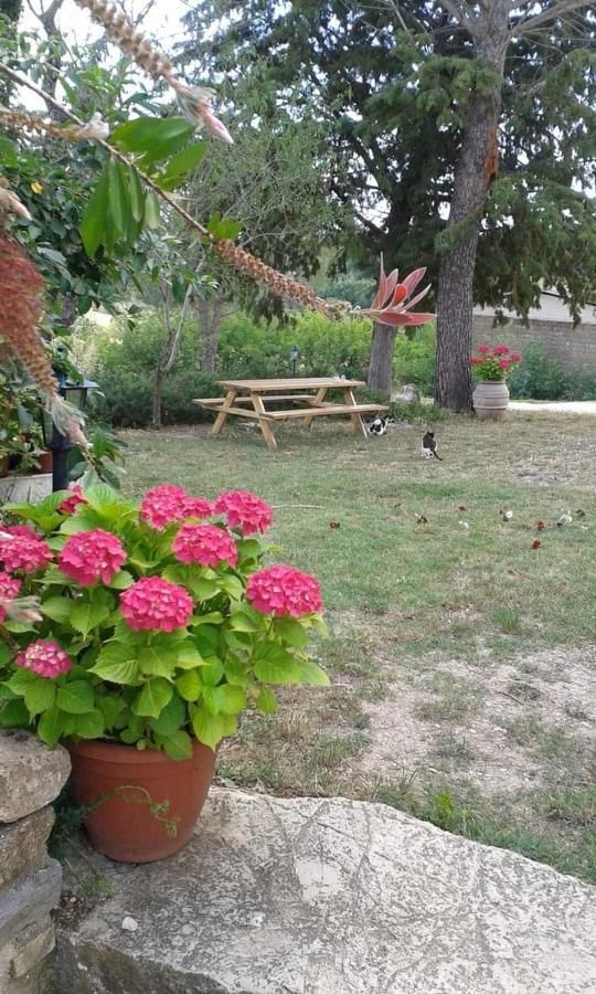 Agriturismo Le Stiacce ซาตูร์เนีย ภายนอก รูปภาพ