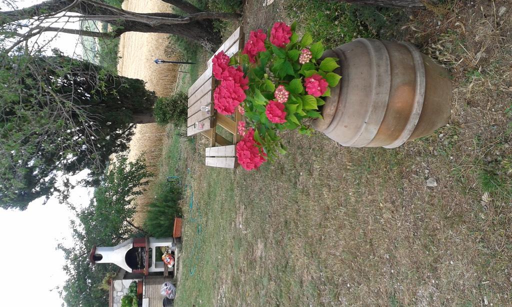 Agriturismo Le Stiacce ซาตูร์เนีย ภายนอก รูปภาพ